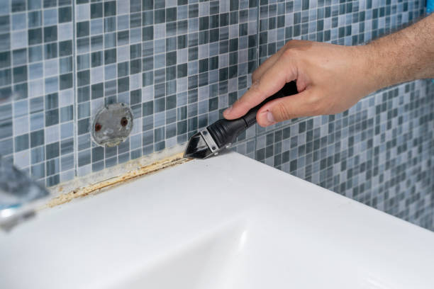 Reliable Winfield, IN Mold Removal Solutions